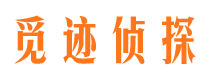 大理市婚外情调查